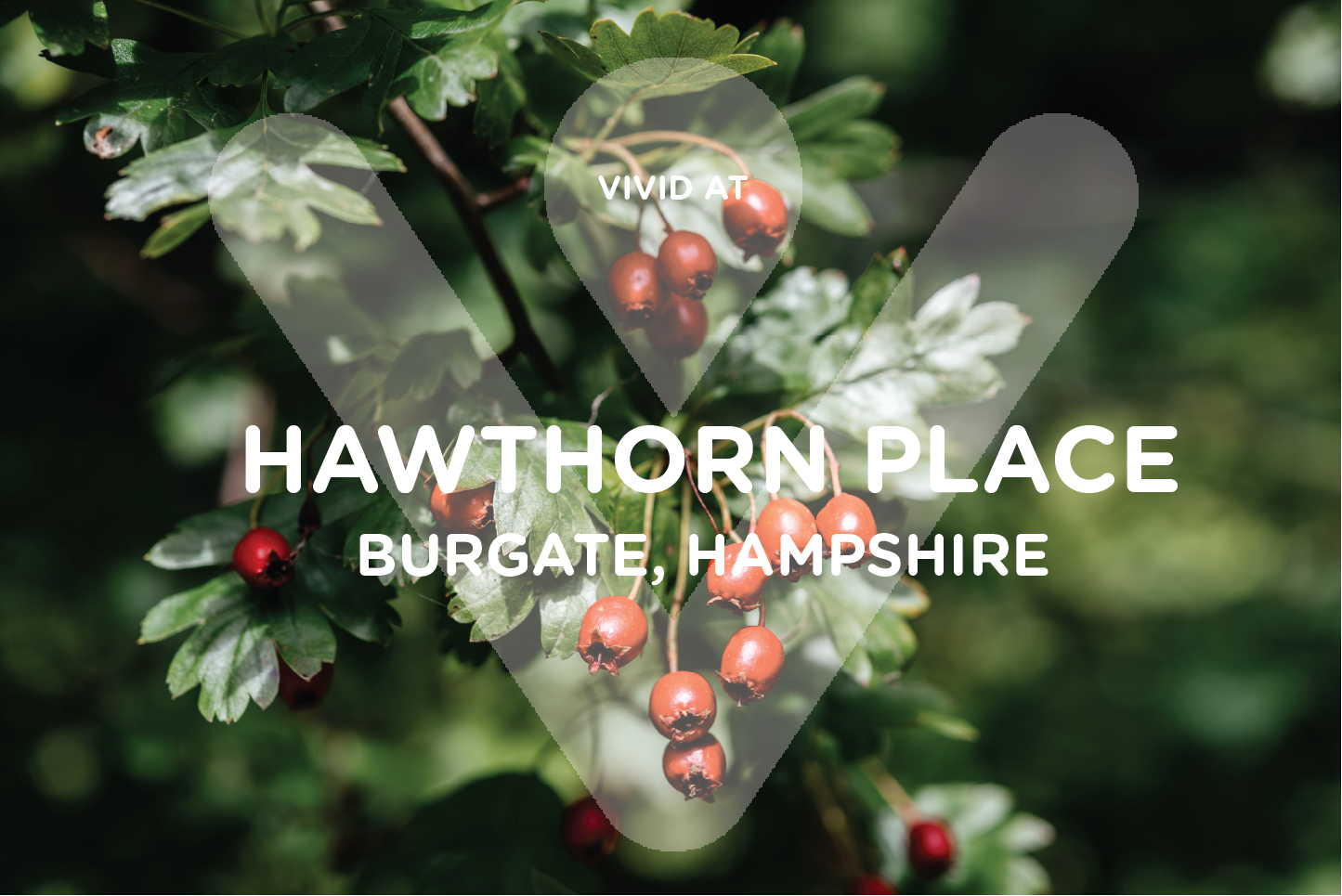 Hawthorn place logo